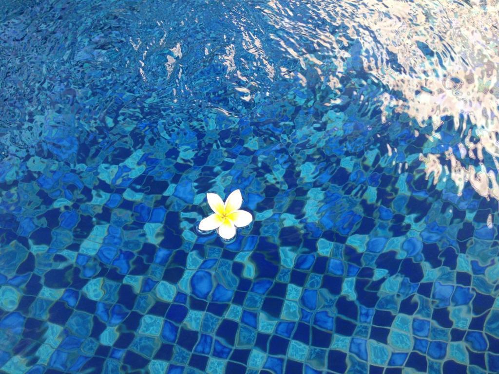 Coco De Heaven House Hotel Jimbaran  Luaran gambar